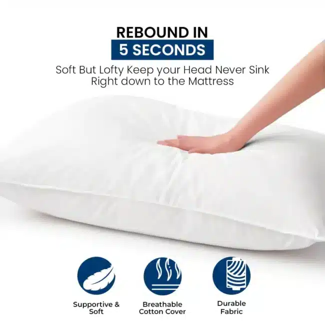 Standard Polyester Pillows