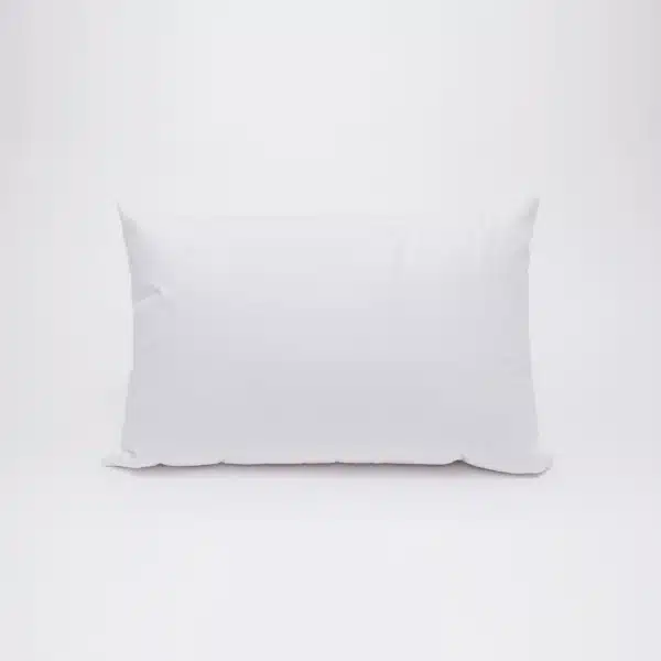 Goose Down Feather Pillow for Hotels and Hospitals in Pakistan